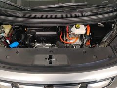 Denza D9 2022 DM-i 970 AWD Flagship - ფოტო 20