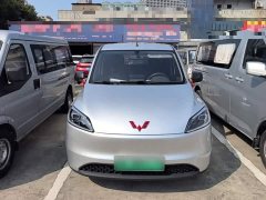 Wuling Hongguang New Energy 2024 Pure Electric 300KM Standard - ფოტო 3