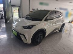 BYD Seagull 2023 Vitality Edition - ფოტო 1