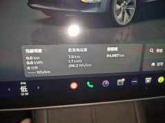 Tesla Model Y Rear-Wheel Drive - ფოტო 12
