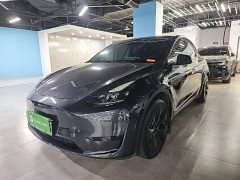 Tesla Model Y Rear-Wheel Drive - ფოტო 2