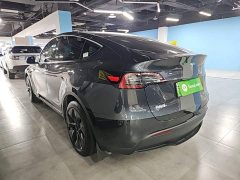 Tesla Model Y Rear-Wheel Drive - ფოტო 5