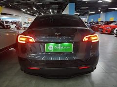 Tesla Model Y Rear-Wheel Drive - ფოტო 6