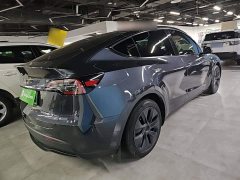 Tesla Model Y Rear-Wheel Drive - ფოტო 7