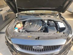 Geely Xingrui 2.0T Diesel Premium Edition - ფოტო 20