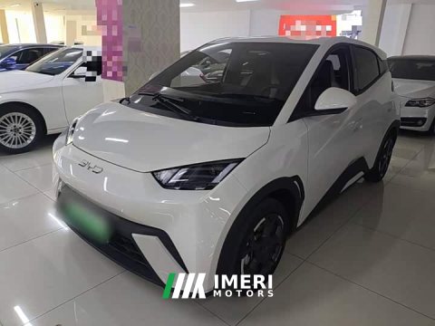 2024 BYD Seagull 2025 305km Freedom Edition - ავტომობილი ჩინეთიდან