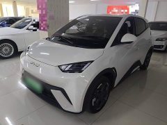 BYD Seagull 2025 305km Freedom Edition - ფოტო 2