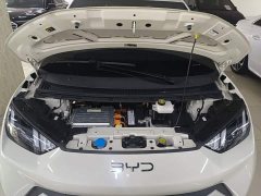 BYD Seagull 2025 305km Freedom Edition - ფოტო 20