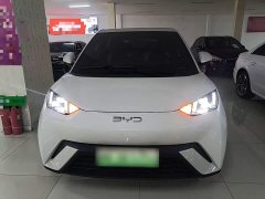 BYD Seagull 2025 305km Freedom Edition - ფოტო 3