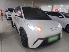 BYD Seagull 2025 305km Freedom Edition - ფოტო 4