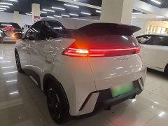 BYD Seagull 2025 305km Freedom Edition - ფოტო 5