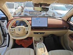ORA Good Cat 430km Luxury - ფოტო 10