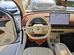ORA Good Cat 430km Luxury - ფოტო 11