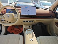 ORA Good Cat 430km Luxury - ფოტო 13
