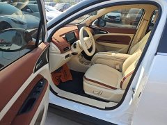 ORA Good Cat 430km Luxury - ფოტო 16
