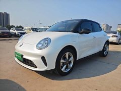ORA Good Cat 430km Luxury - ფოტო 2
