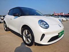ORA Good Cat 430km Luxury - ფოტო 4