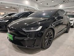 Tesla Model X Dual Motor All-Wheel Drive - ფოტო 1