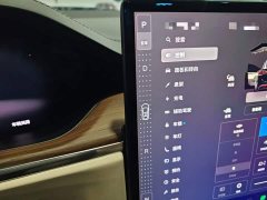Tesla Model X Dual Motor All-Wheel Drive - ფოტო 14