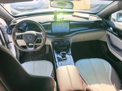 BYD Qin PLUS 2024 Glory Edition DM-i 55KM Leading - ფოტო 10