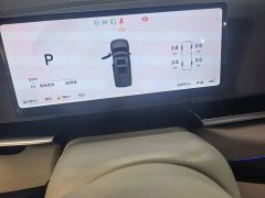 Voyah Lantu Dreamchaser PHEV AWD Luxury Kunpeng Edition - ფოტო 3