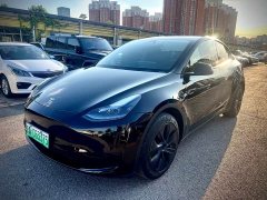 Tesla Model Y Rear-Wheel Drive - ფოტო 1