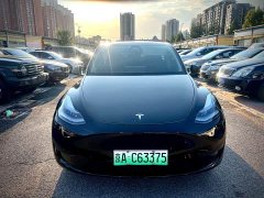 Tesla Model Y Rear-Wheel Drive - ფოტო 2
