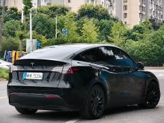 Tesla Model Y 2022 Performance All-Wheel Drive - ფოტო 2