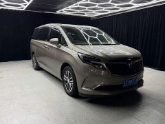 Buick GL8 ES Luxe 653T Prestige - ფოტო 10