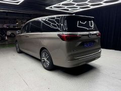 Buick GL8 ES Luxe 653T Prestige - ფოტო 5