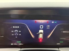 FAW Red Flag E-HS9 2022 690km Range Flagship Edition Six-Seater - ფოტო 10