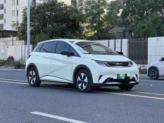 BYD Dolphin 2025 420km Freedom Edition - ფოტო 3