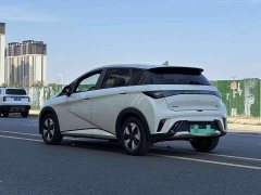 BYD Dolphin 2025 420km Freedom Edition - ფოტო 7