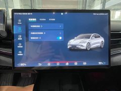 BYD Dolphin 2022 550km Standard Range RWD Luxury - ფოტო 8