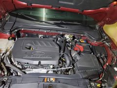 Ford Focus Hatchback EcoBoost 180 Automatic ST Line - ფოტო 16