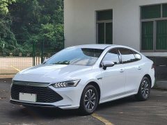 BYD Qin PLUS Glory Edition DM-i 55KM Leading - ფოტო 1