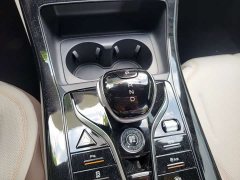 BYD Qin PLUS Glory Edition DM-i 55KM Leading - ფოტო 11
