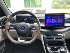 BYD Qin PLUS Glory Edition DM-i 55KM Leading - ფოტო 12
