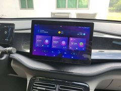 BYD Qin PLUS Glory Edition DM-i 55KM Leading - ფოტო 13