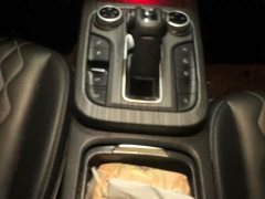 Tank 300 2021 Off-Road Edition 2.0T Challenger - ფოტო 14