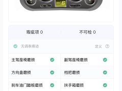Ford Lingyue EcoBoost 225 Premium 6-Seater - ფოტო 13