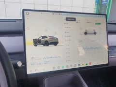 Nio Lerado L60 2024 60kWh Rear-Wheel Drive - ფოტო 7