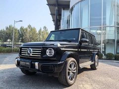 Mercedes-Benz G-Class G 500 - ფოტო 1