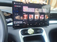 Geely Star Wish 310km Dream Edition - ფოტო 9