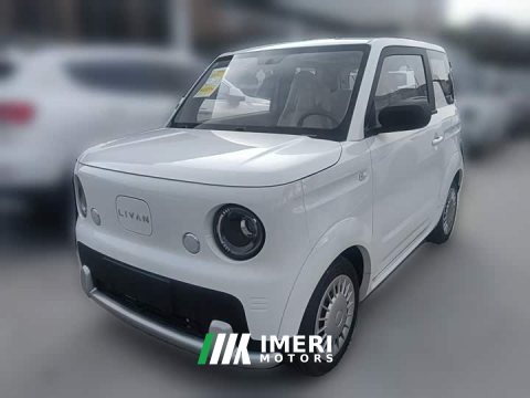 2026 Rui Lan Blue Balloon Vitality Edition - car from China