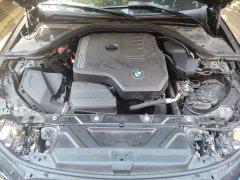 BMW 3 Series 320Li M Sport Package - photo 16