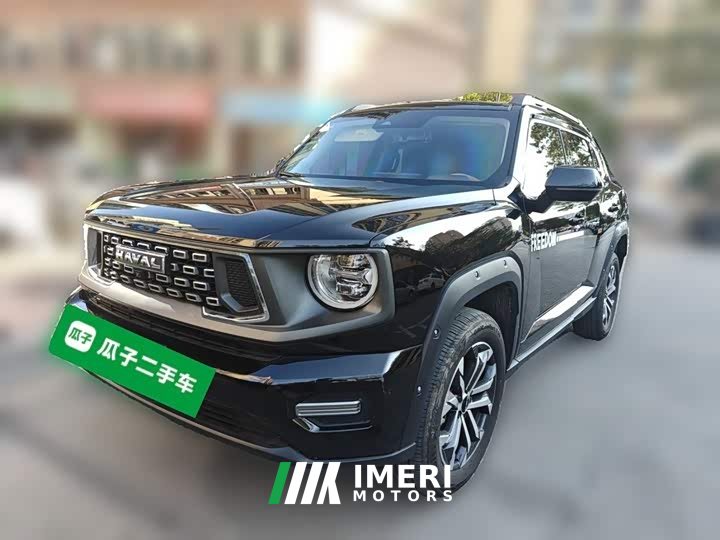 Haval Big Dog PLUS 2.0T Two-Wheel Drive Trendy Wilderness Edition Plus - ავტომობილი ჩინეთიდან
