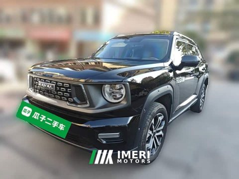 2023 Haval Big Dog PLUS 2.0T Two-Wheel Drive Trendy Wilderness Edition Plus - ავტომობილი ჩინეთიდან