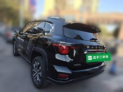 Haval Big Dog PLUS 2.0T Two-Wheel Drive Trendy Wilderness Edition Plus - ფოტო 4