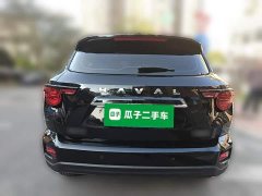 Haval Big Dog PLUS 2.0T Two-Wheel Drive Trendy Wilderness Edition Plus - ფოტო 5